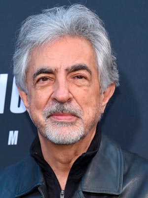 Джо Мантенья в роли леди Дэвида Росси